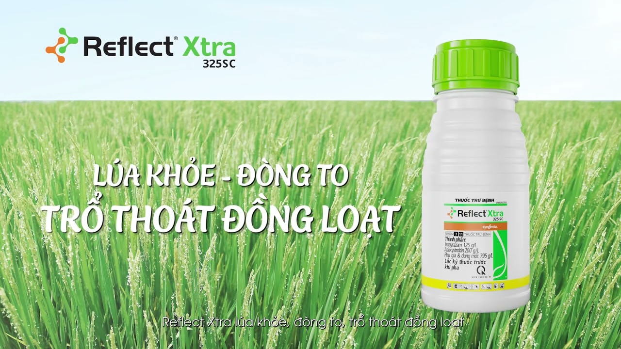 Reflect&reg;Xtra 325SC 2023: Trổ Tho&aacute;t Đồng Loạt