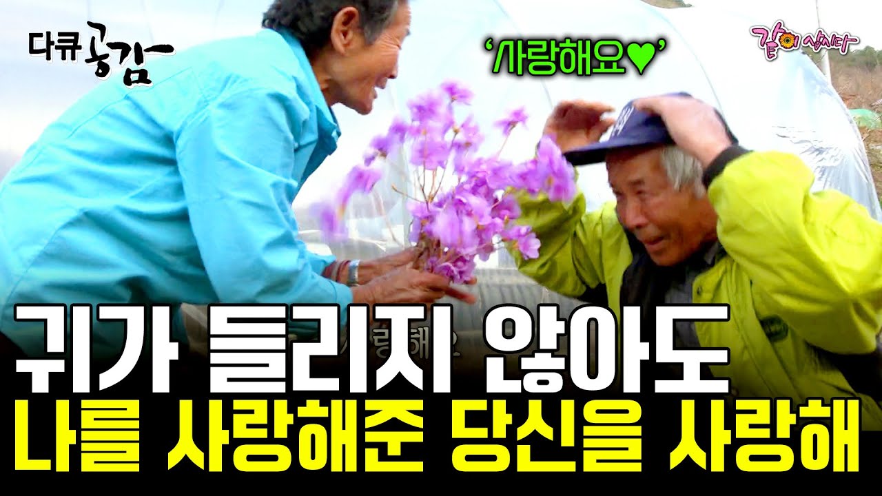 [다큐공감] 54년 전 봄날에도 당신은 예뻤고, 이번 봄에도 당신은 참 예쁘다. 54년이 지난 지금도 각시라 부르는 사랑둥이 남편ㅣKBS 2019.04.28