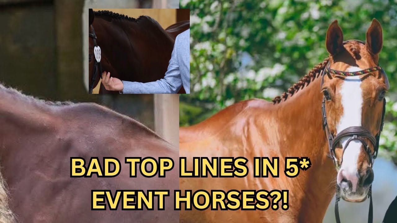 Muscle Atrophy in 5* Event Horses