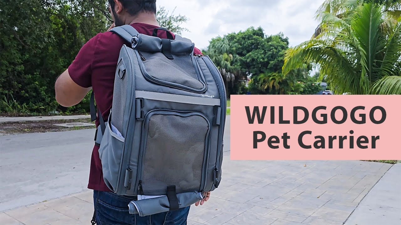 Переноска для животных WILDGOGO: новое средство передвижения вашего пушистого друга