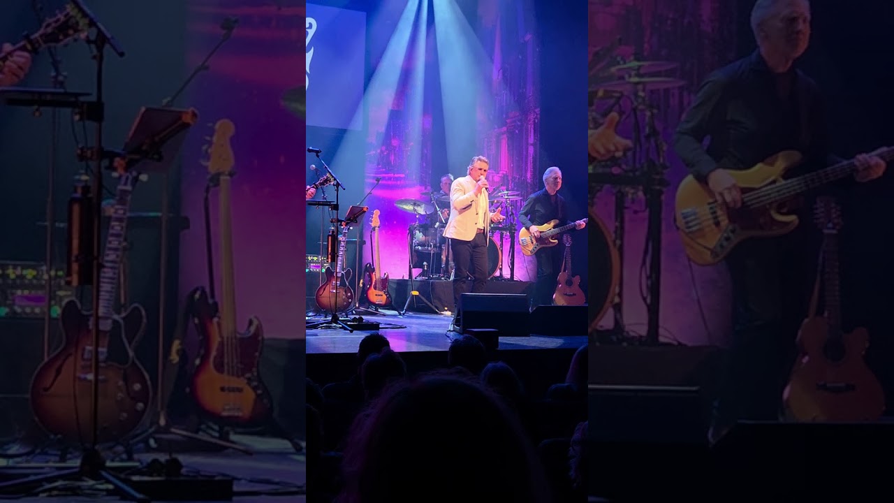 the story of the cats 28 november de lawei Drachten