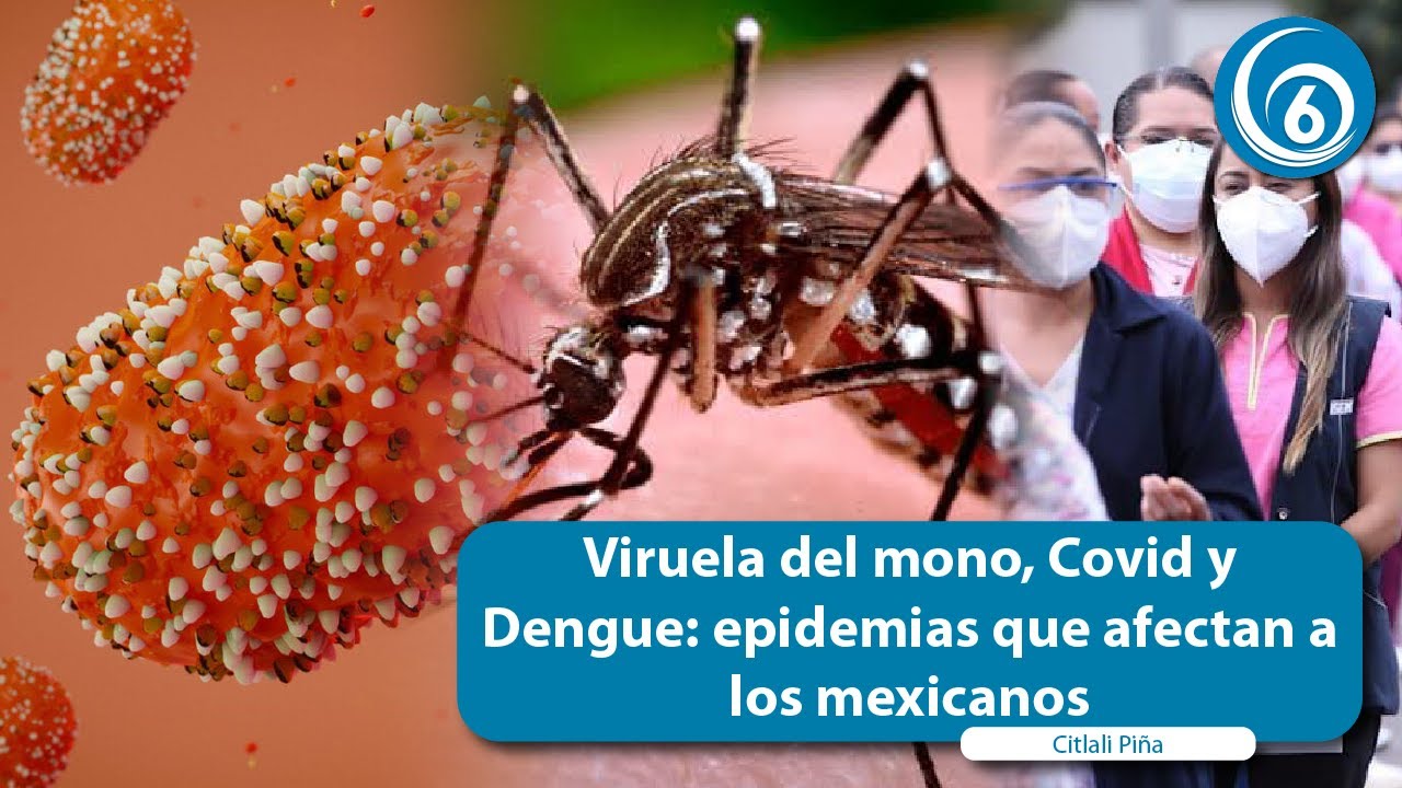 Viruela del mono, #Covid y #Dengue: epidemias que afectan a los mexicanos