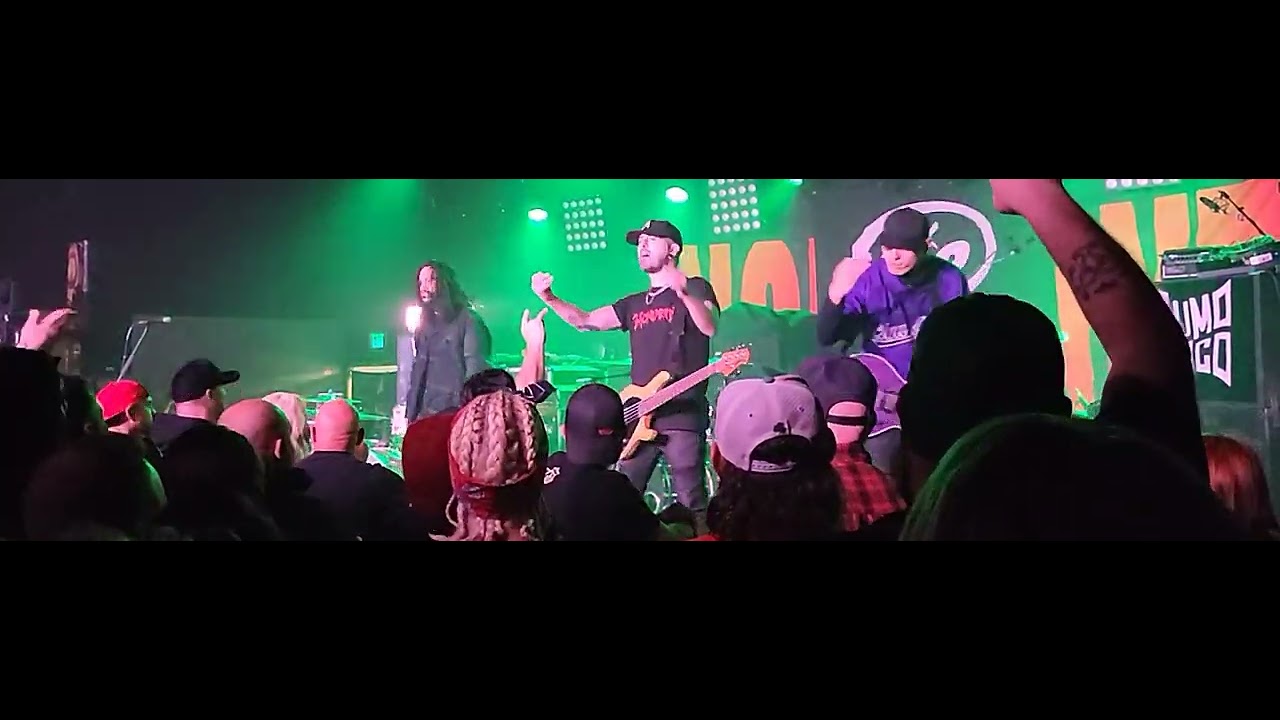 VRSTY Can You Love Me Live at the Eclectic Room 12/14/23