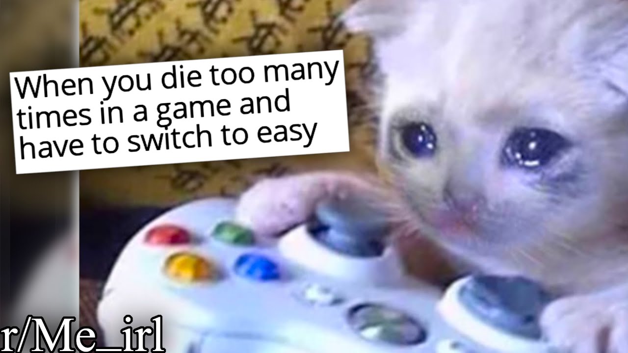 r/Me_irl | memes for sad cats