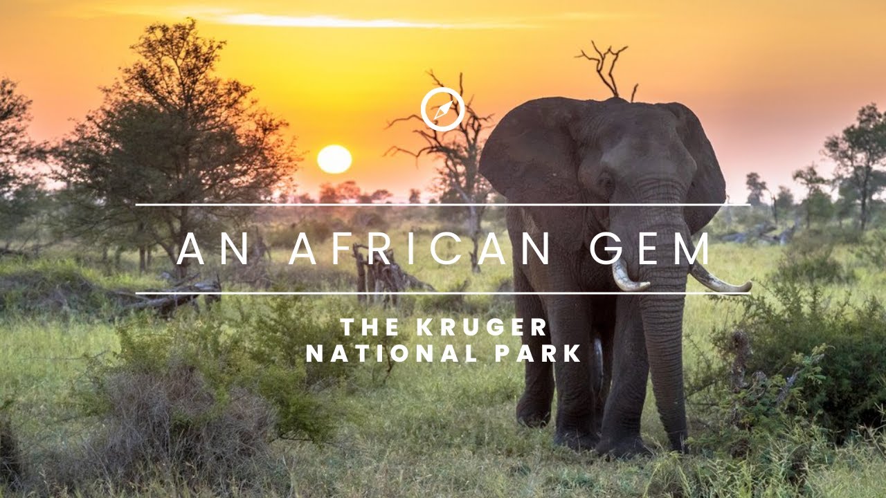 An African Gem - The Kruger National Park