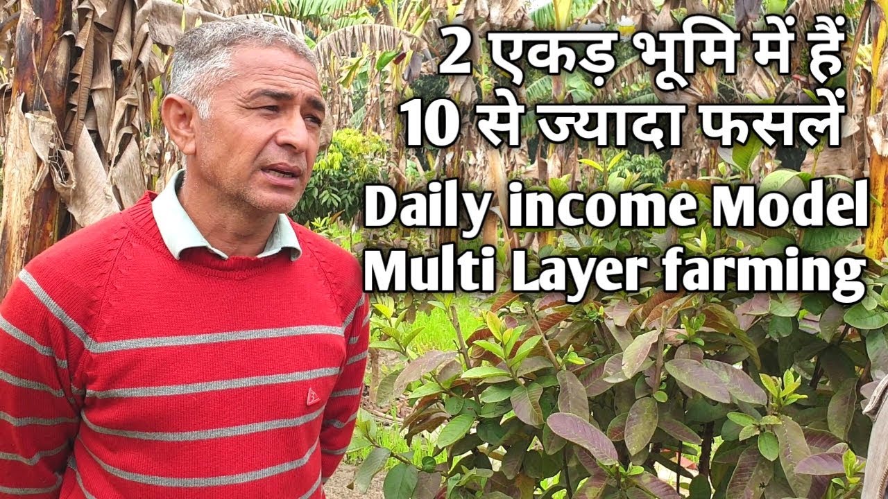 आवश्यकता ही आविष्कार की जननी है। किसान ने खड़ा किया 5 Layer Organic Farming Model |