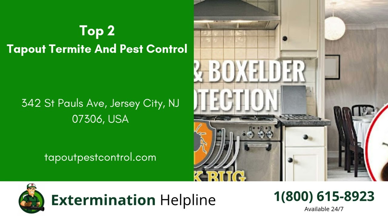 Top 3 Exterminators in Hoboken
