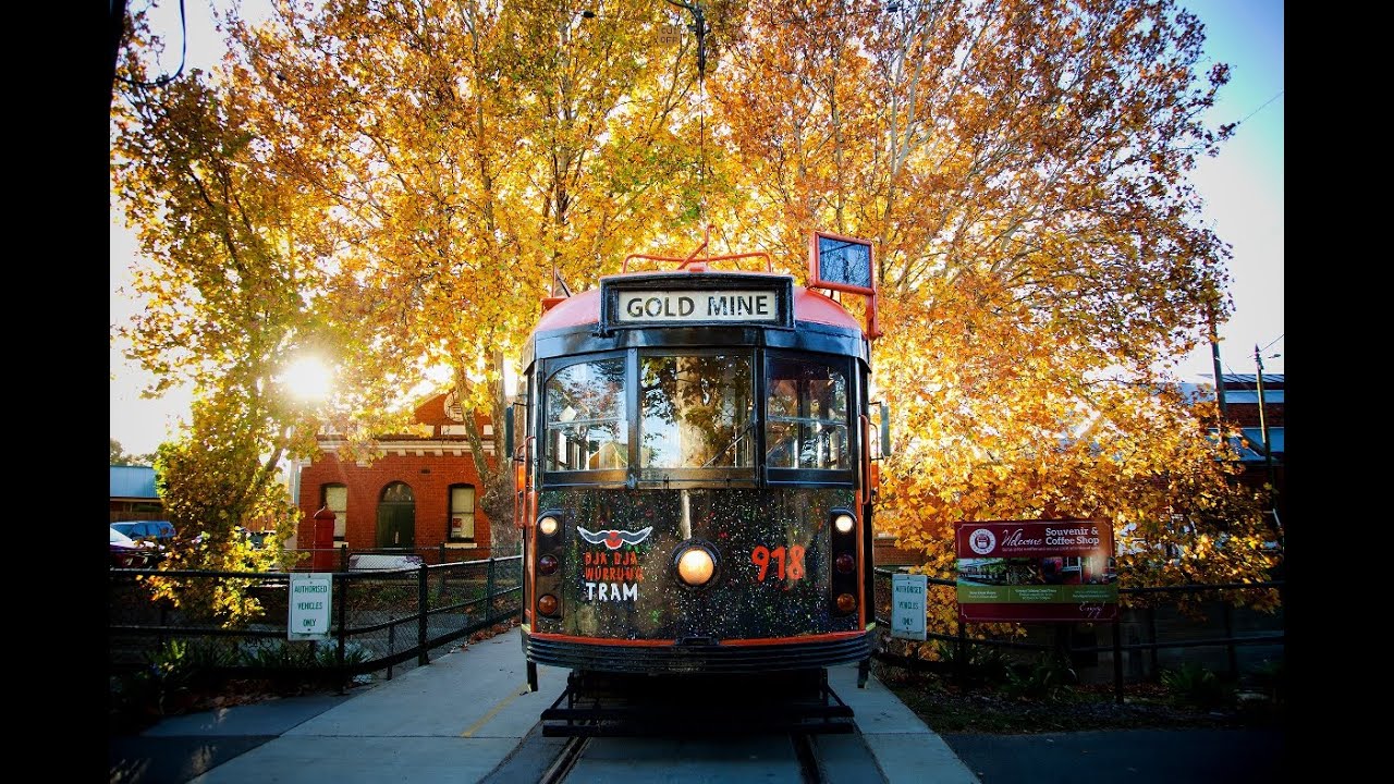 Discover Bendigo