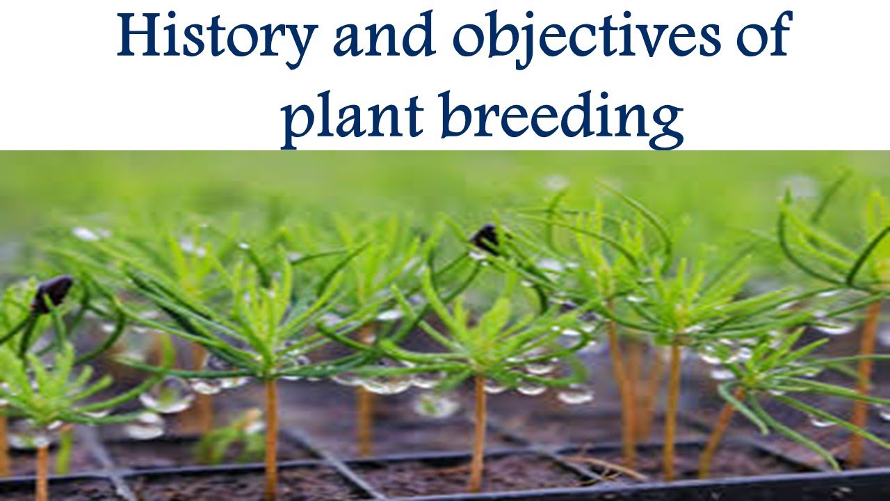 HISTORY AND OBJECTIVES OF PLANT BREEDING