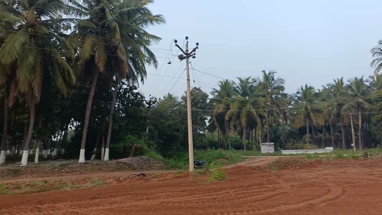 விவசாய நிலம்   வாங்கினால் இந்த பூமி வாங்கணும் 2.20 ஏக்கர் விவசாயி நிலம் விற்பனை 