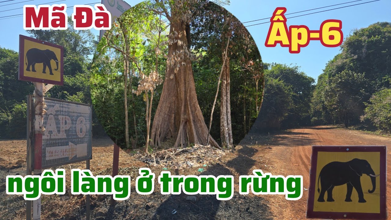Ấp-6,xóm dân cư ở giữa rừng Tỉnh Đồng Nai