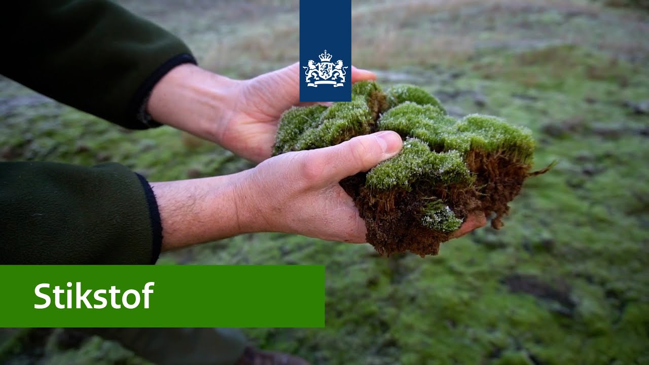 Stikstof | Stikstofreductie en natuurverbetering