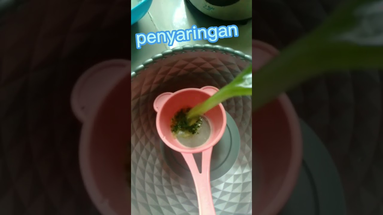 Cara mengatasi hama ulat pada caisin hidroponik @Ririnoy25