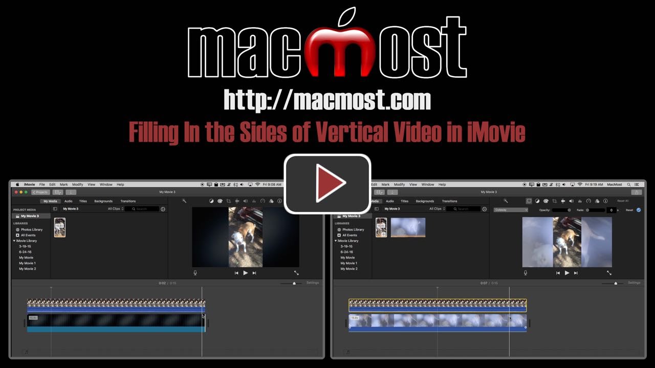 Filling In the Sides of Vertical Video in iMovie (#1210)