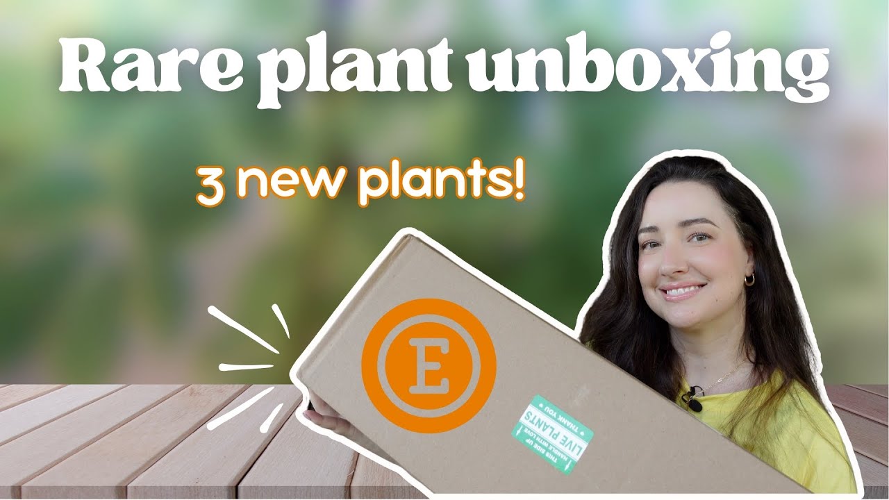 Quick Rare Plant Mail Unboxing | Etsy Plant Shopping 🌿📦