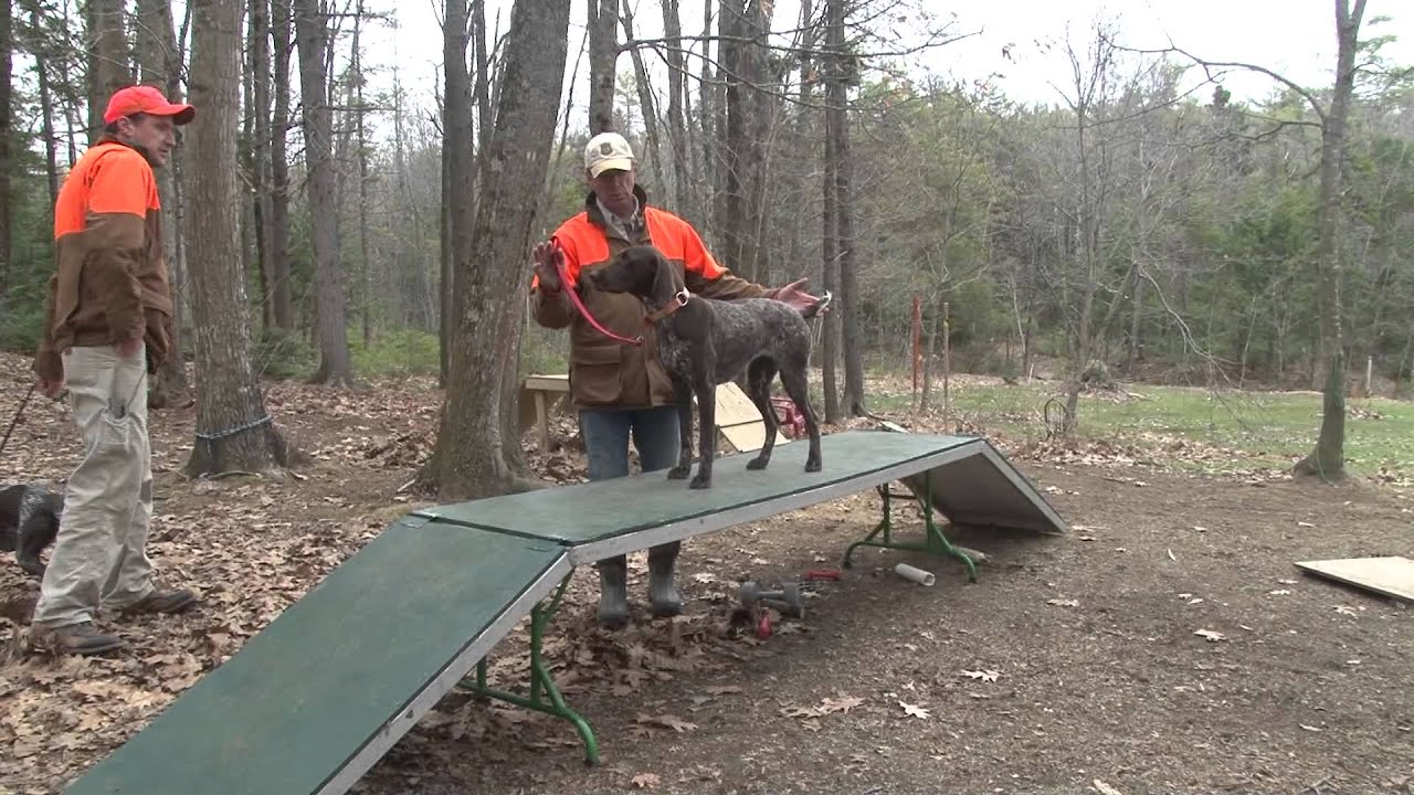 The Versatile Hunting Dog with Jason Carter Part 4