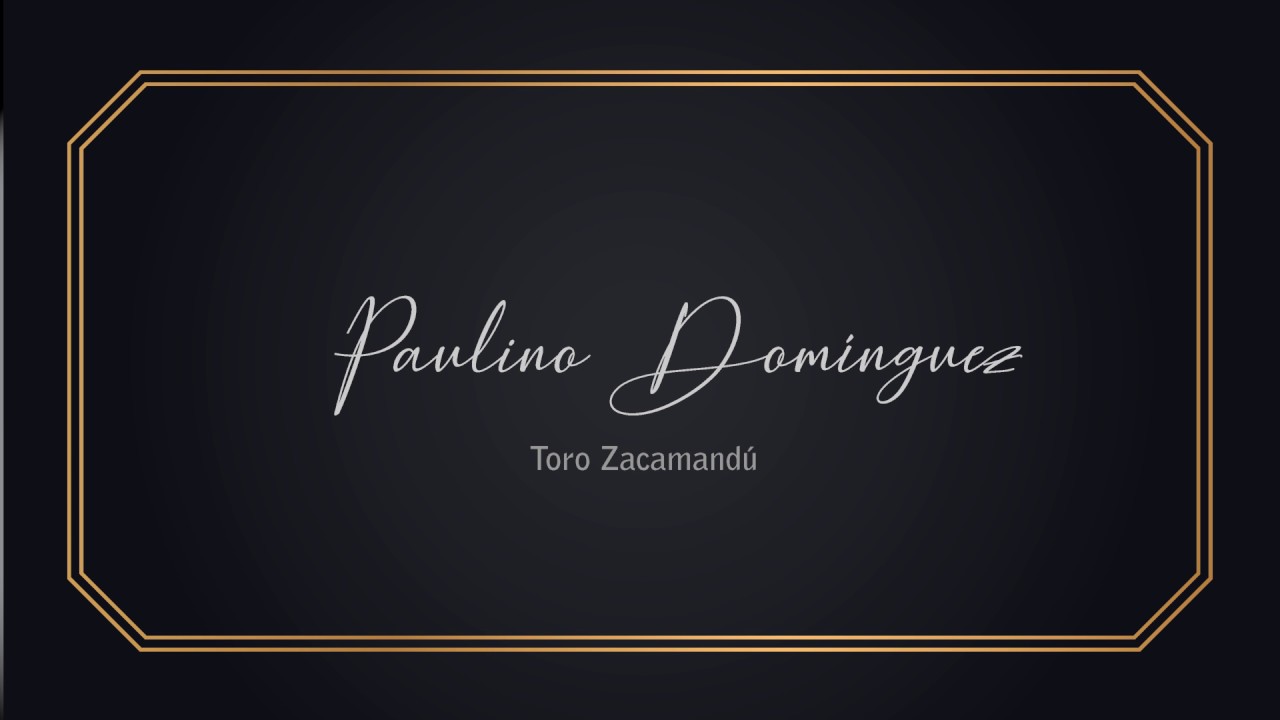 Paulino Domínguez - El Toro zacamandú