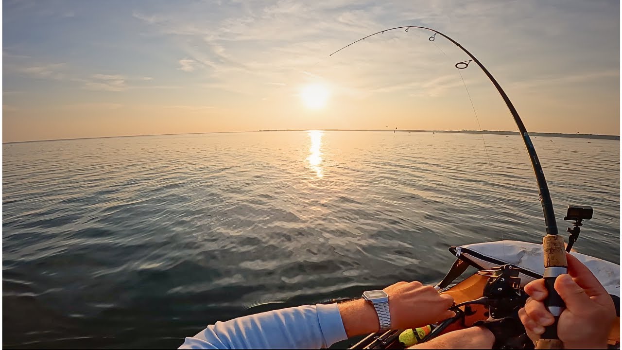 There Are SO MANY Fish! Long Island Sound Multi-Species Kayak Fishing