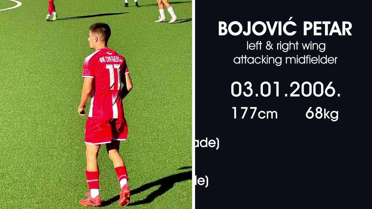 BOJOVIC PETAR, left & right wing