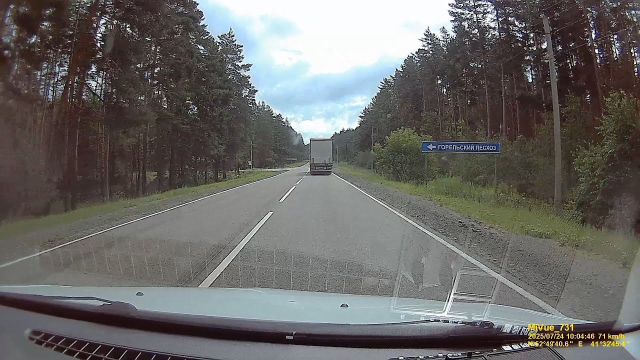 Лес. Июль 2025. Домой