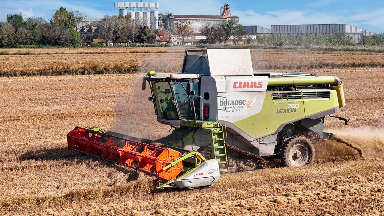 MOISSON DE RIZ 🌾 | CLAAS LEXION 750 |  ETA DELBOSC  - CAMARGUE 2024