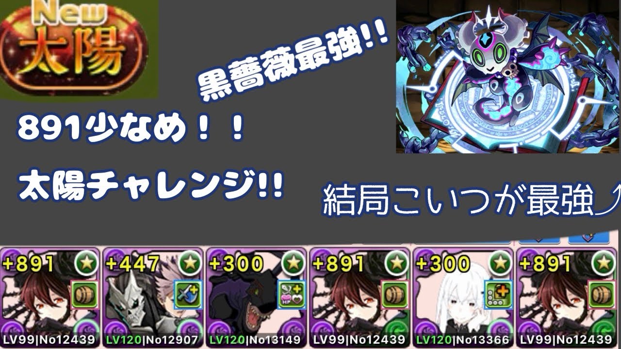 【太陽チャレンジ】【黒薔薇】エキドナで完成！体力爆盛り黒薔薇編成！！【パズドラ】