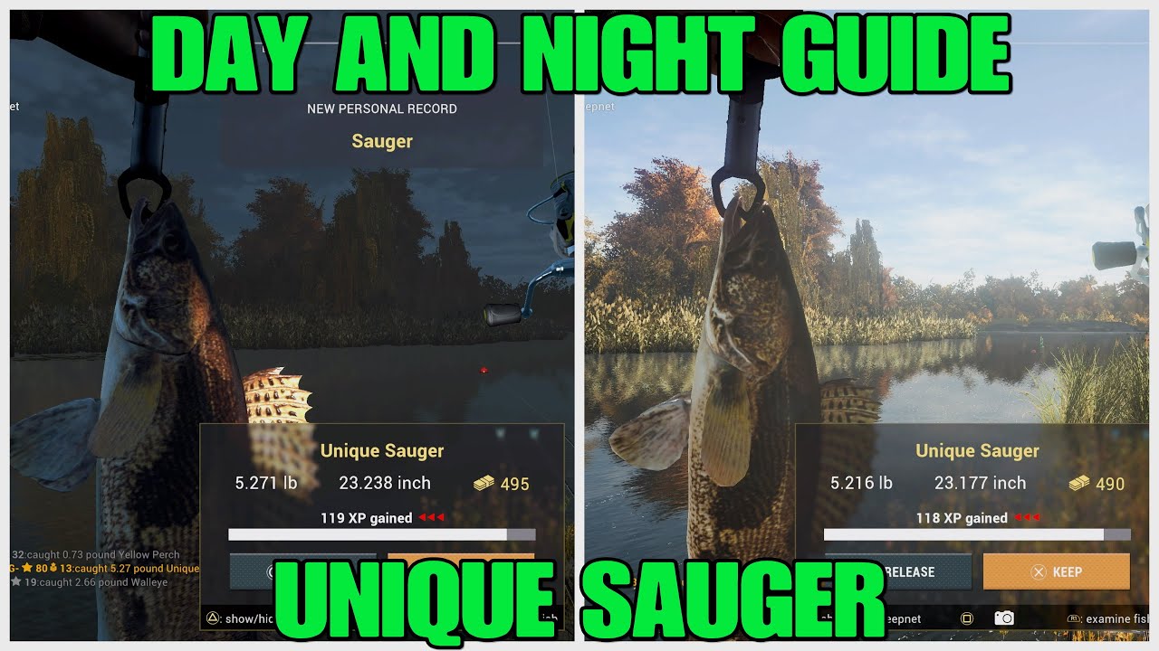 Unique Sauger - Hotspots And More - Emerald Lake Guide - Fishing Planet