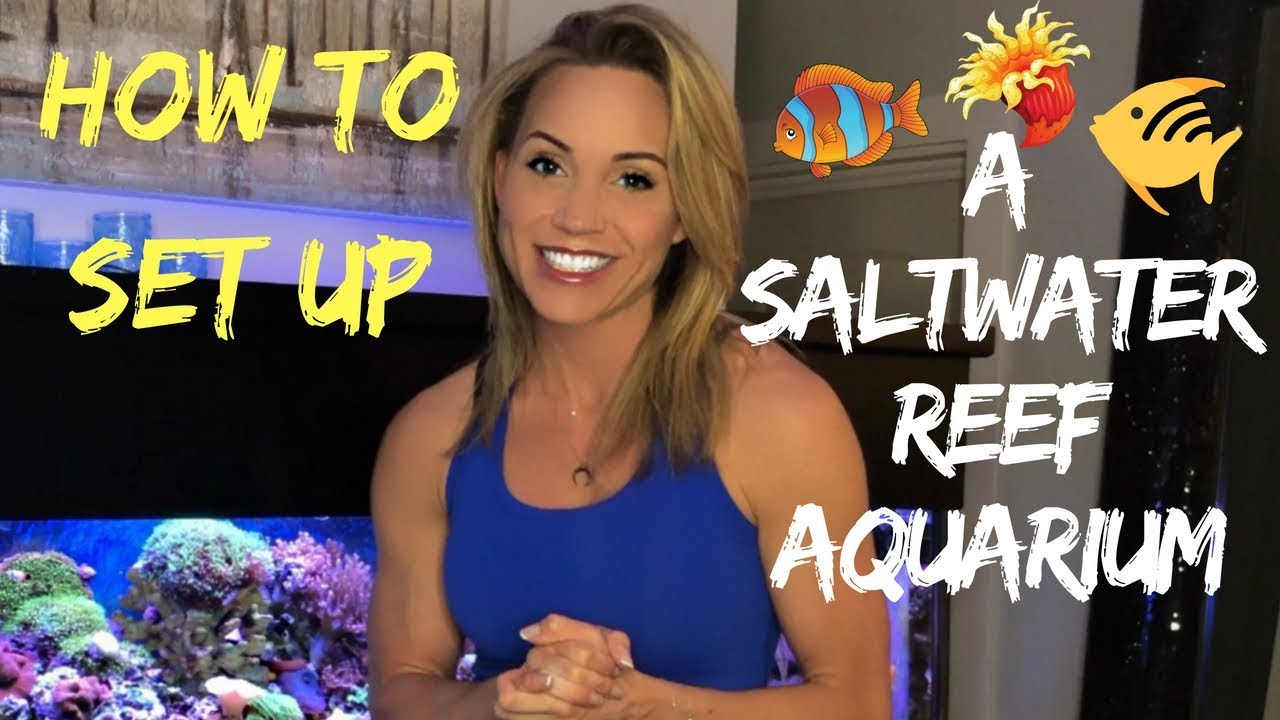 How To Setup A Saltwater Reef Aquarium - Mindi's Coral Reef