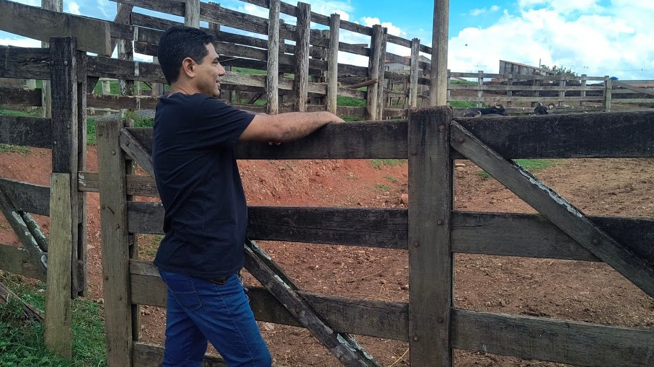 Hino 275 avante eu vou do hinário 5 CCB na viola caipira 