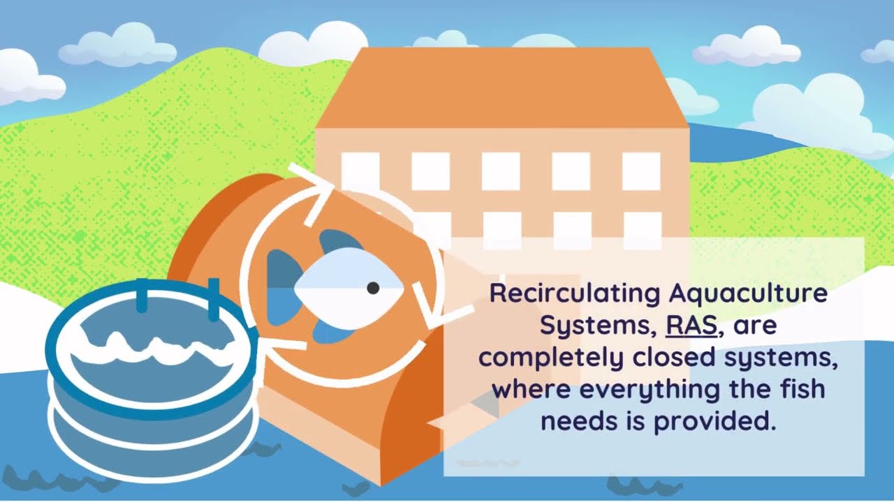 Smart Solutions: Recirculating Aquaculture Systems