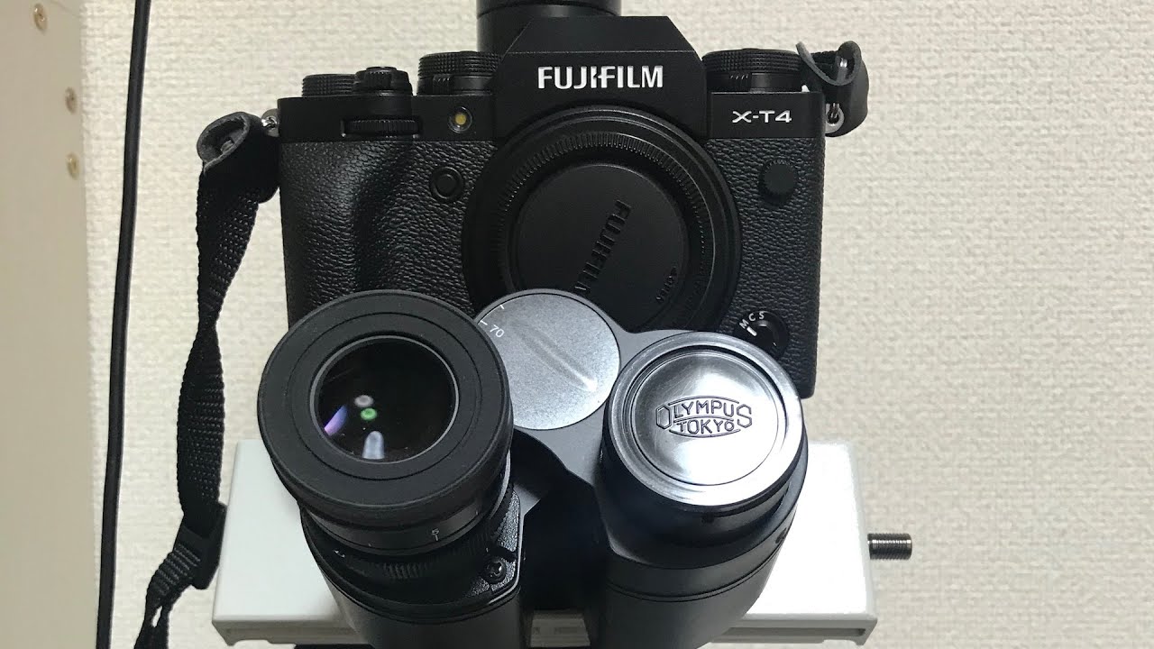 Fuji XT 4 on a microscope (first impressions)