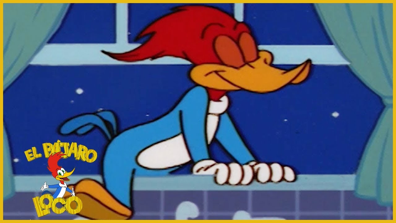 El Pájaro Loco en Español | Loquillo Sonámbulo | Dibujos Animados en Español