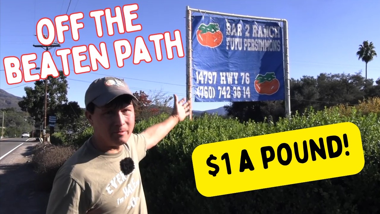 The Secret $1 Persimmon Farm Grocery Stores DON'T Want You to Find