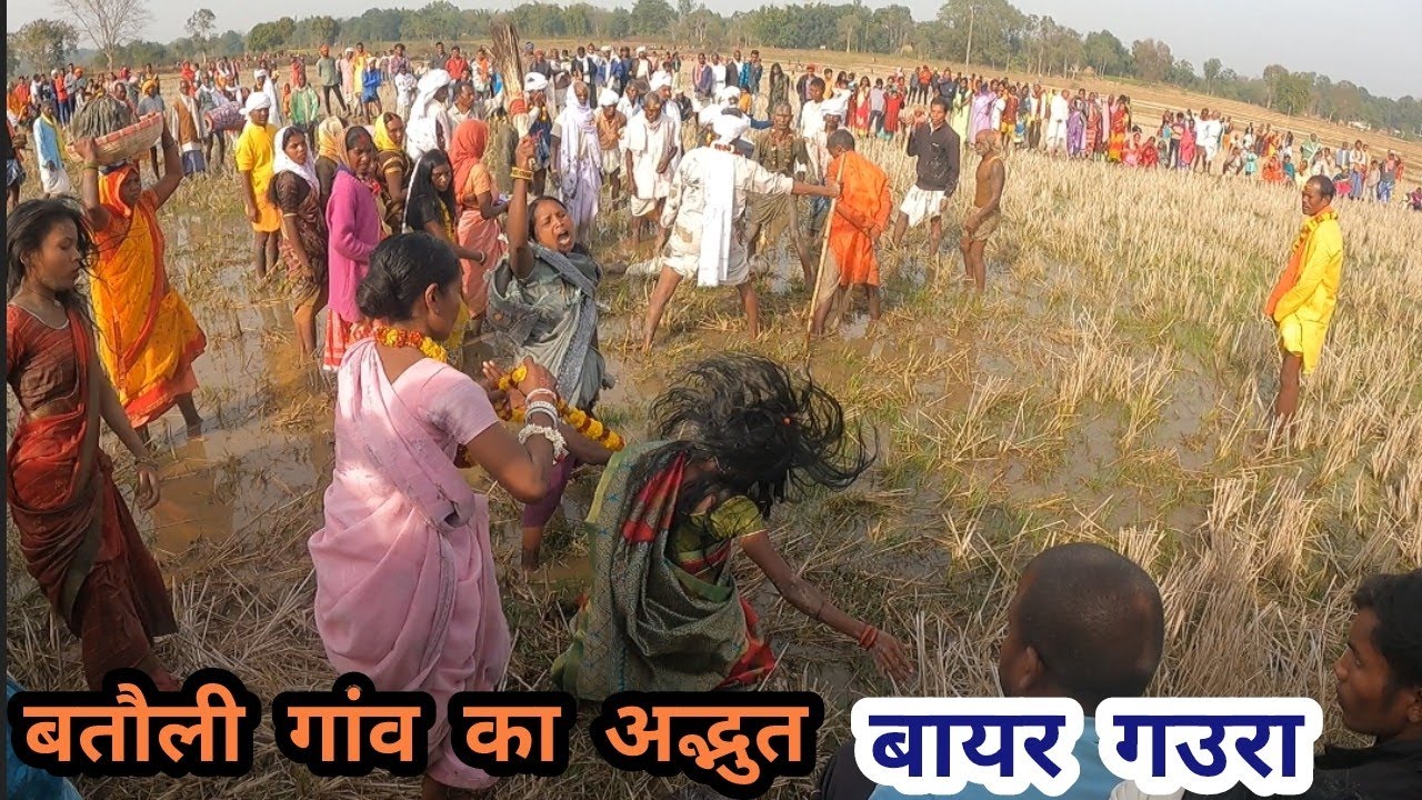 बतौली गांव का अद्भुत बायर गउरा नाच। Karauli Batauli Gaon Surguja Bayar Dance 2026