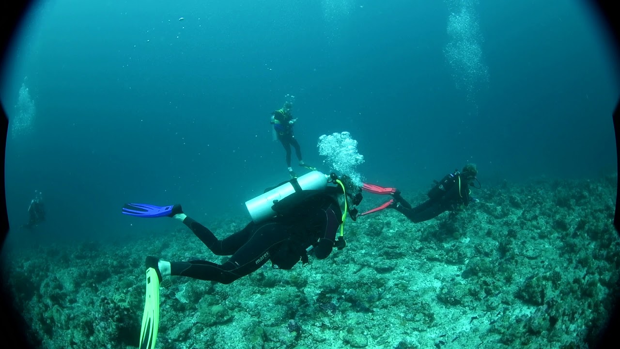 strong currents dive in maldives