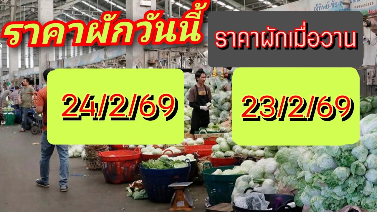 สรุปราคาผักวันนี้ 24/2/69 | ราคาผักเมื่อวาน 23/2/69 นาทีที่ 8.30