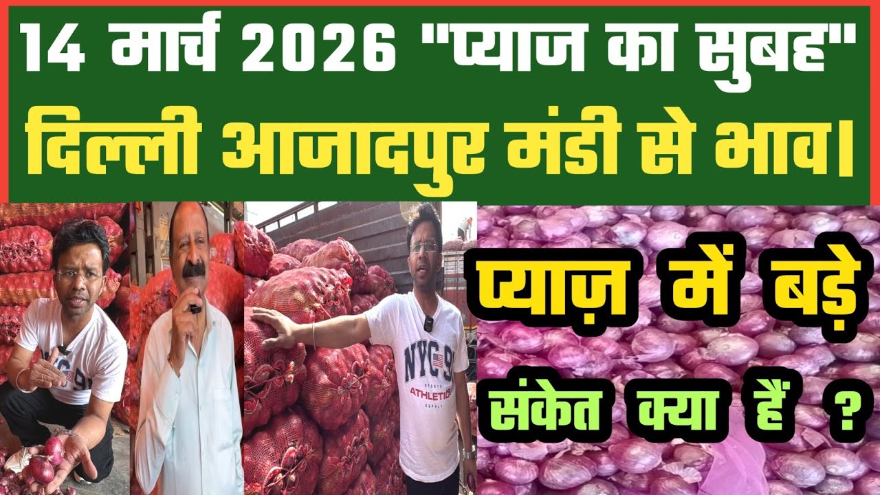 प्याज के लिए क्या है बड़े संकेत ? Azadpur Delhi Mandi Today में 14-03-2026 के Onion Price DMT TV