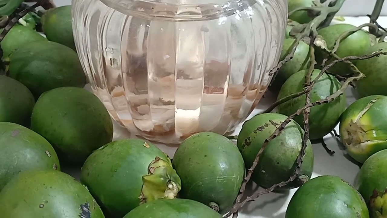 RƯỢU NGÂM HẠT CAU CÓ TÁC DỤNG GÌ ĐỐI VỚI SỨC KHỎE.