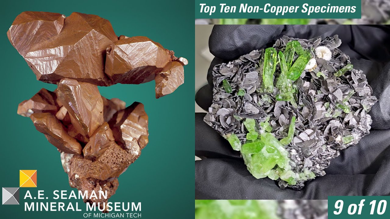 Top Ten Non-Copper Specimens from the A.E. Seaman Mineral Museum - 9 of 10 - Graphite with Diopside