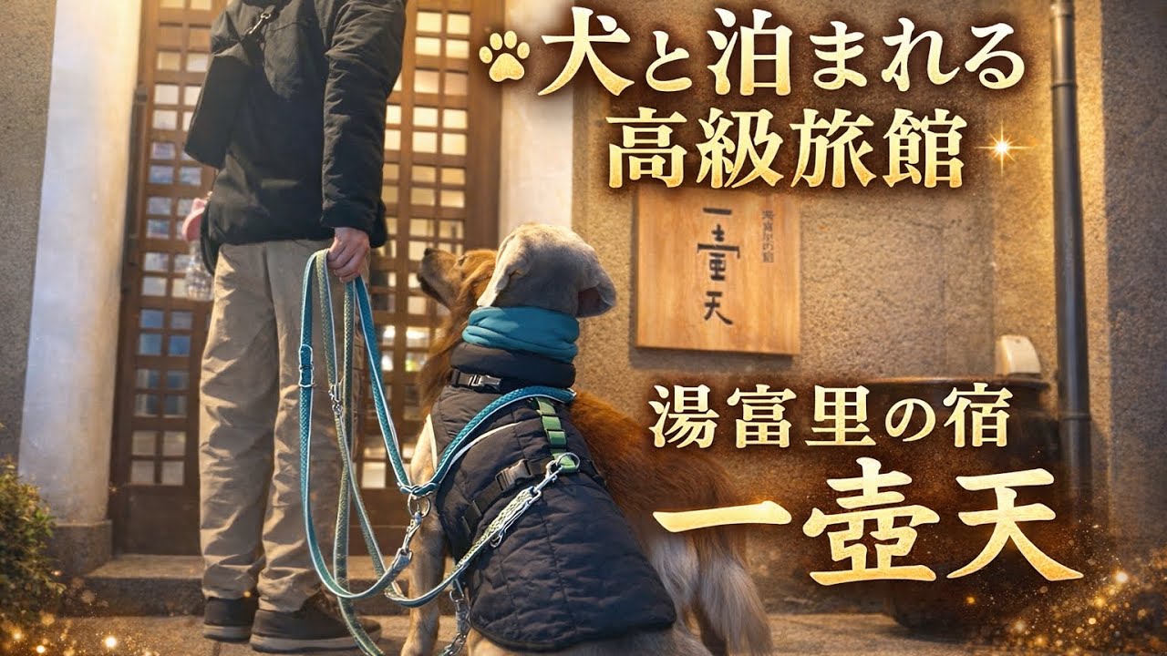 「一壷天」犬と泊まれる高級旅館に行ってきました。