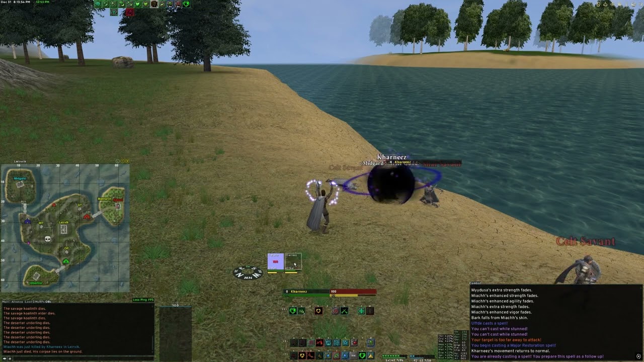valk skald vs 4 hibs   lvl42