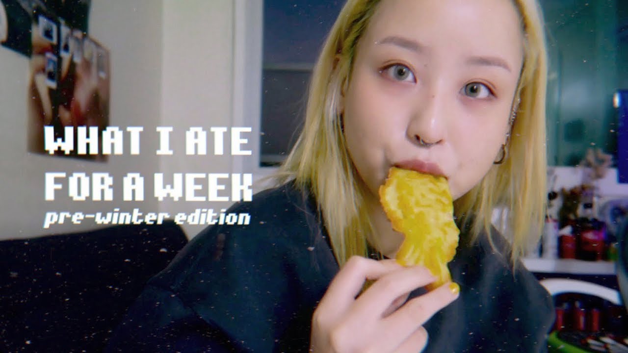 진진의 가을 사료 2018 pre-winter edition