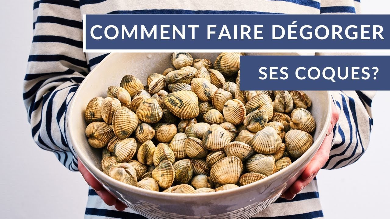 Comment faire dégorger ses coques ?