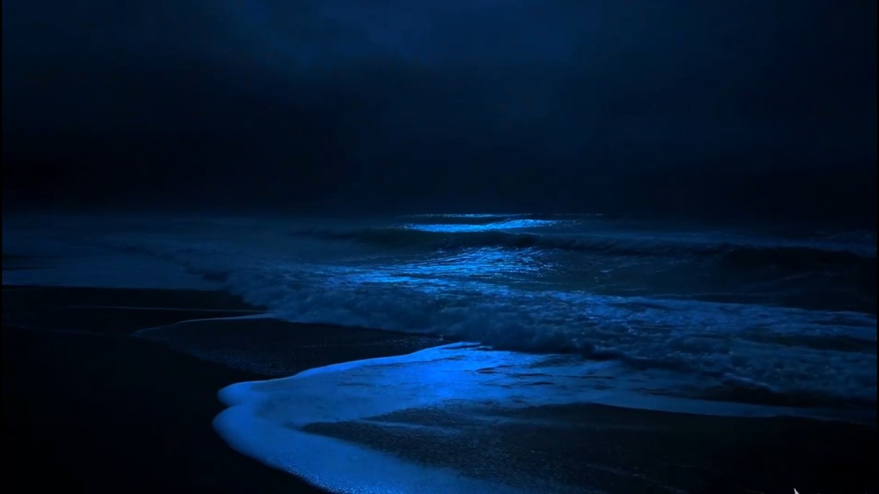 (No Ads) Relaxing Night Ocean Sounds | 3 Hours Deep Sleep & Relaxation