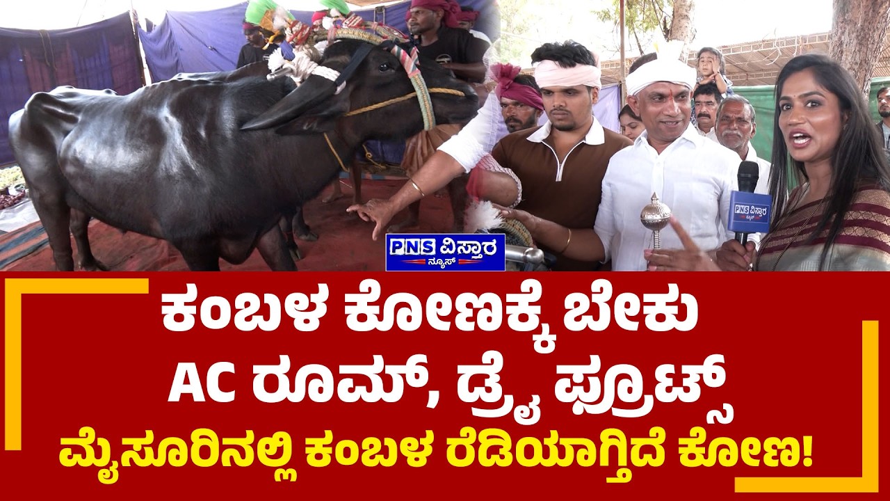 Mysuru Kambala: ಕಂಬಳಕ್ಕೆ ಕೋಣಗಳನ್ನ ಹೇಗೆ ಆಯ್ಕೆ ಮಾಡ್ತಾರೆ? Vidya Malnad in Mysuru | PNS Vistaara News