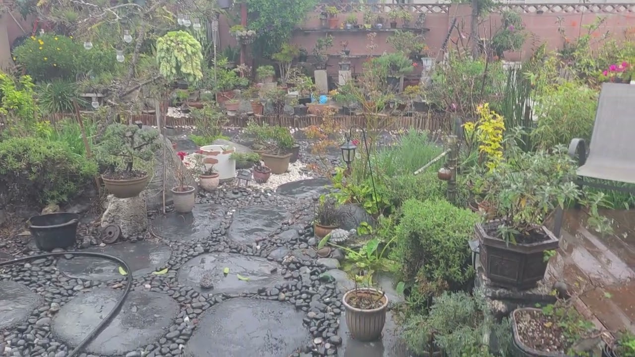 Living room garden view. 