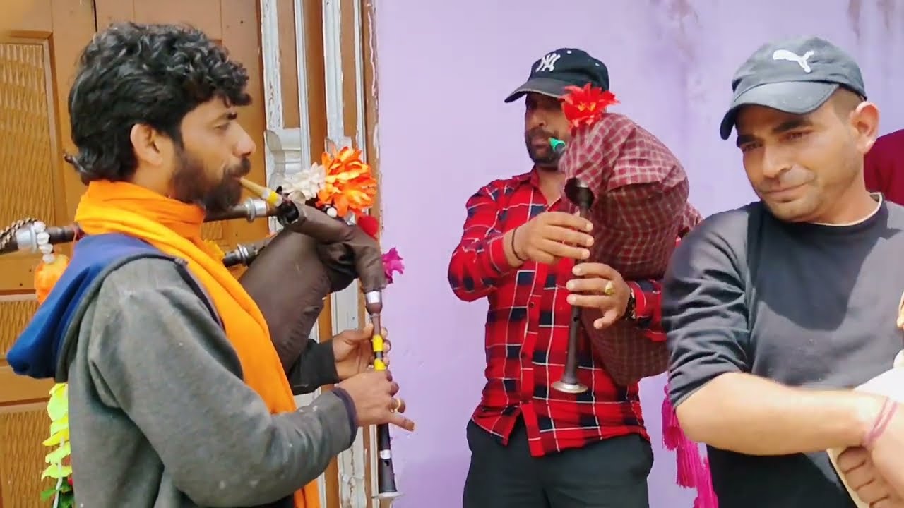 Super Double Bean Baja //Amazing Song on bean//Pogli Bansari