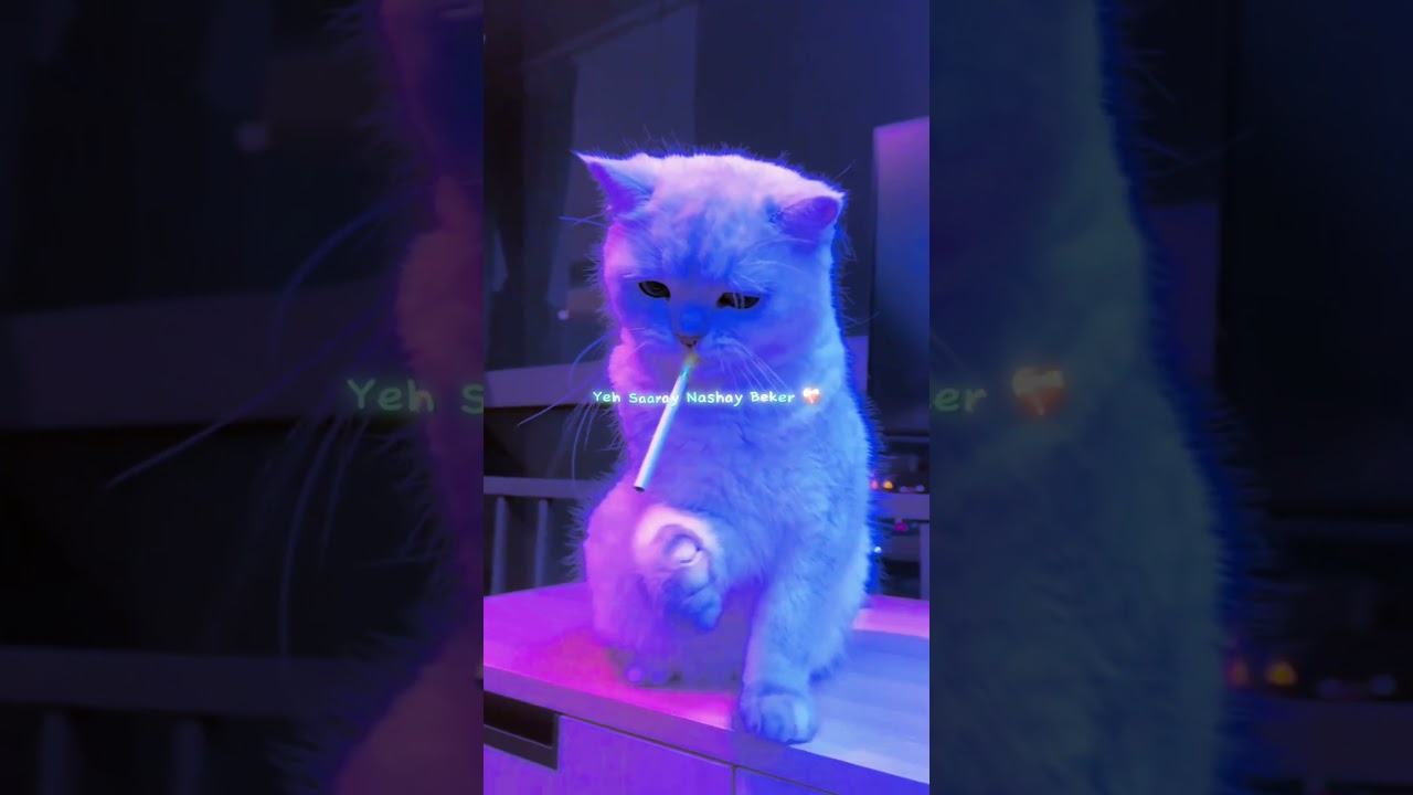 Pal pal ~ Afusic 🥺💘 | Cat version | Slowed reverb | Aesthetic status | #lyrics#shorts#trendingsong