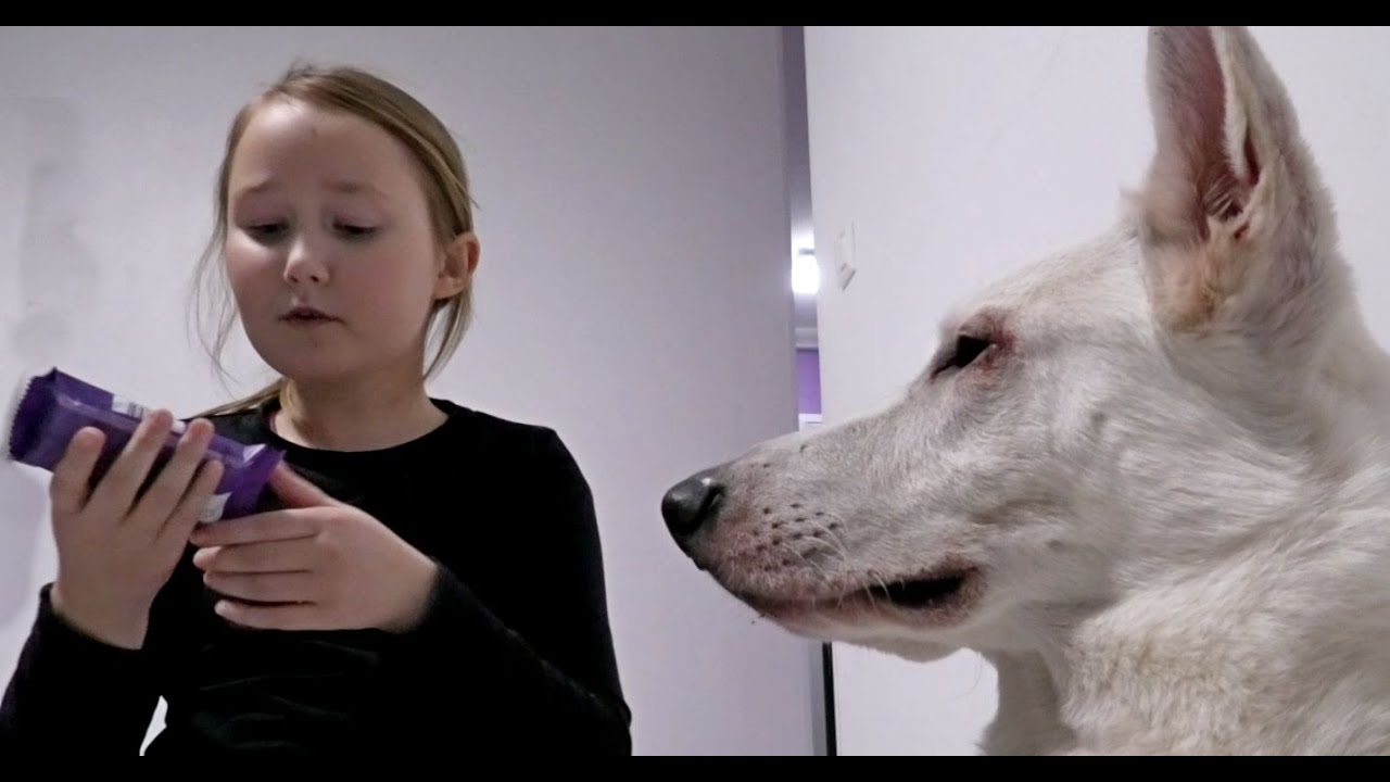 Suklaapatukat makutestissä 5