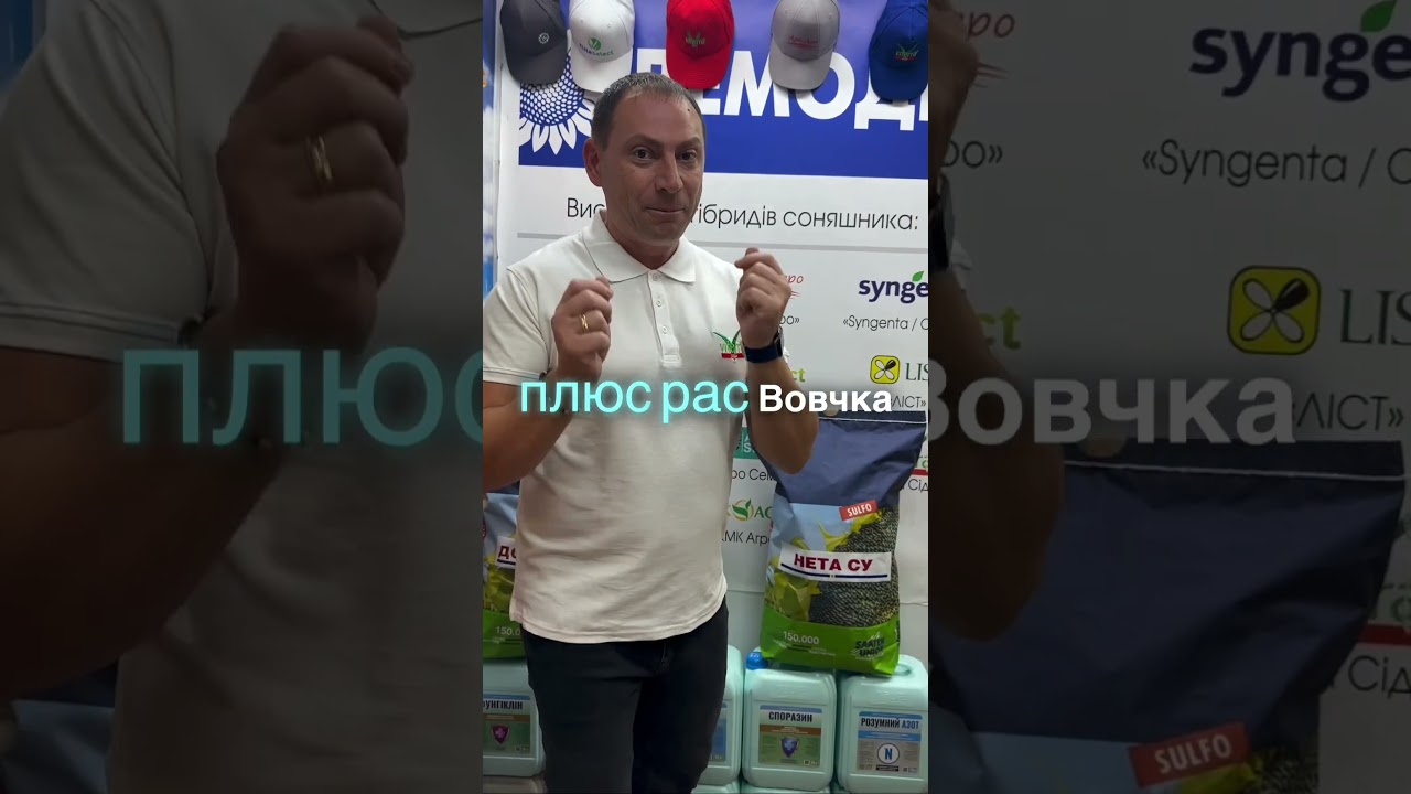 Новинка🆕Європейське Насіння соняшника🌻НЕТА СУ🏆57ц/га, олія 53%🐝Замовляйте ☎️
